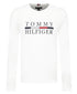 Tommy Hilfiger tShirt טומי הילפיגר חולצת שרוול ארוך